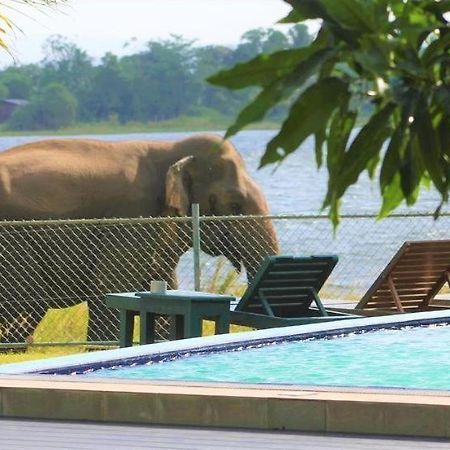 Hotel Lake Park Polonnaruwa Exteriör bild