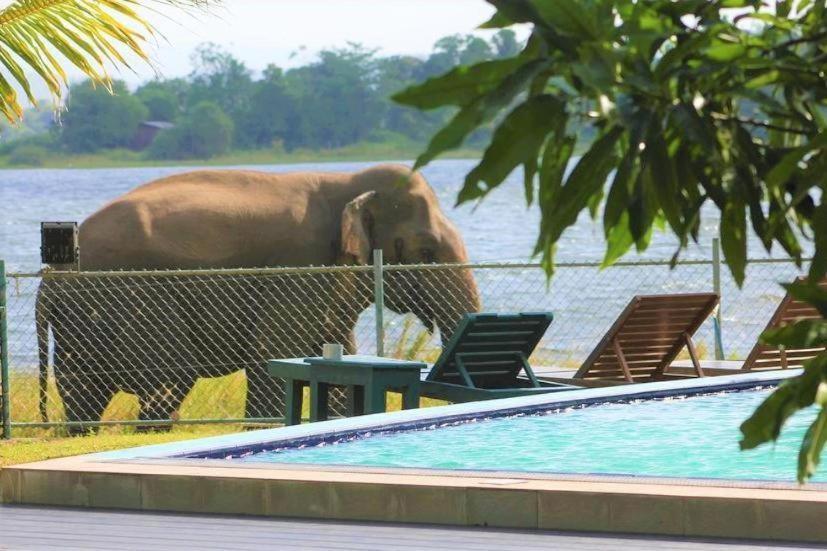 Hotel Lake Park Polonnaruwa Exteriör bild